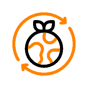 Sustainable Digital & AI Transformation 