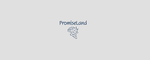 promise
